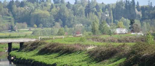 Anniedale-Tynehead Neighbourhood in Fraser Valley British Columbia